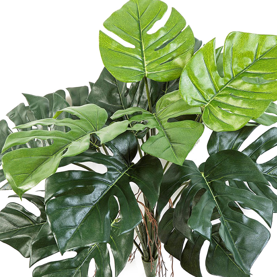 Filodendron műnövény nagy, szeldelt zöld levelekkel közelről, természetes fényű felülettel