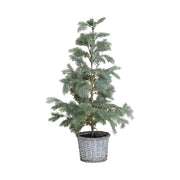 Chic Antique PINE 90 cm-es zöld LED-es műfenyő fonott kosárban, fehér háttér előtt
