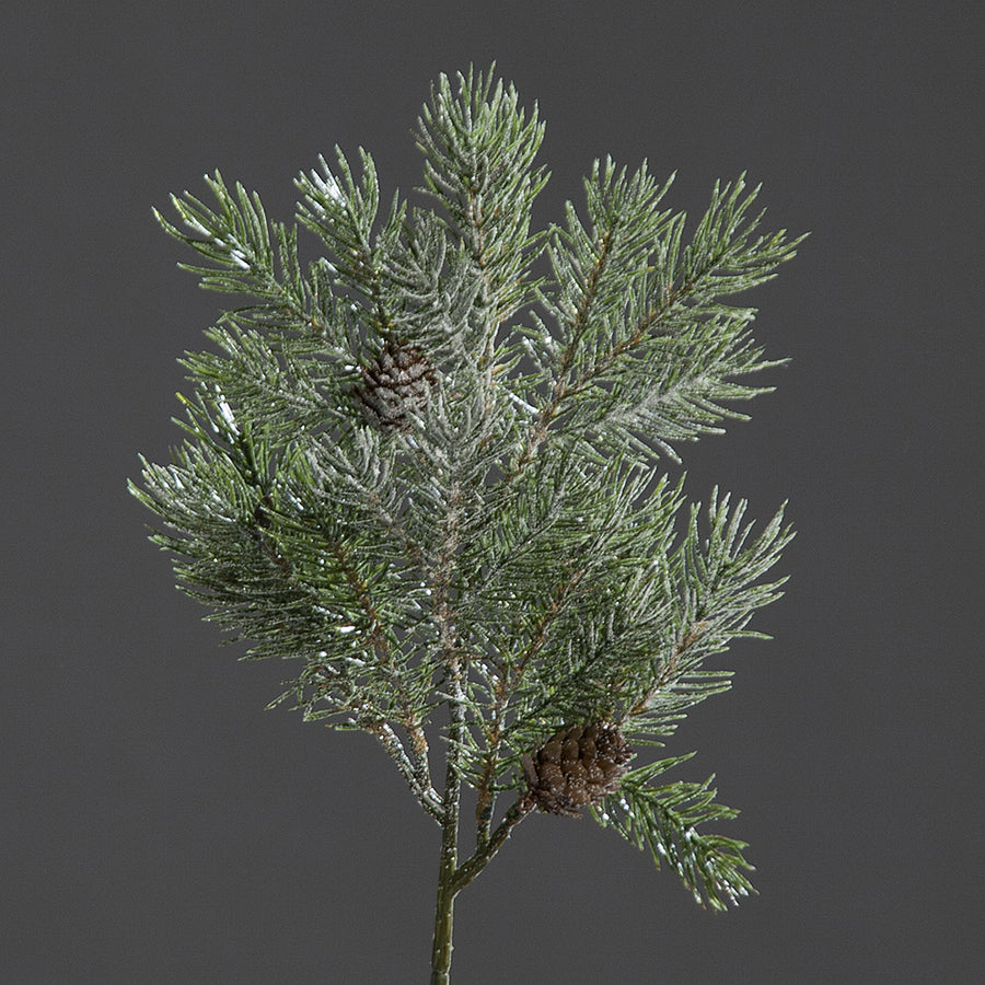 Jeges mű fenyő ág.