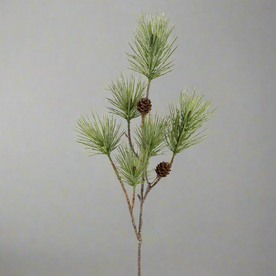 Tobozokkal díszített zöld színű, mű feketefenyő ág .