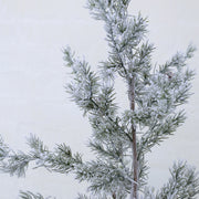PINE zöld havas dekor műfenyő 120 cm 3D