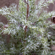 A PINE dekor műfenyő havas hatású, 3D tűlevelű ágainak közeli képe