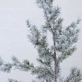 A PINE dekor műfenyő havas hatású, 3D tűlevelű ágainak közeli képe