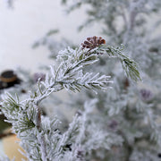 Toboz a PINE műfenyő hóval borított tűlevelű ágán