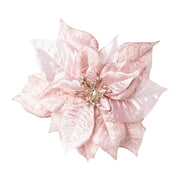 Pinkszínű, bársony mikulásvirág.