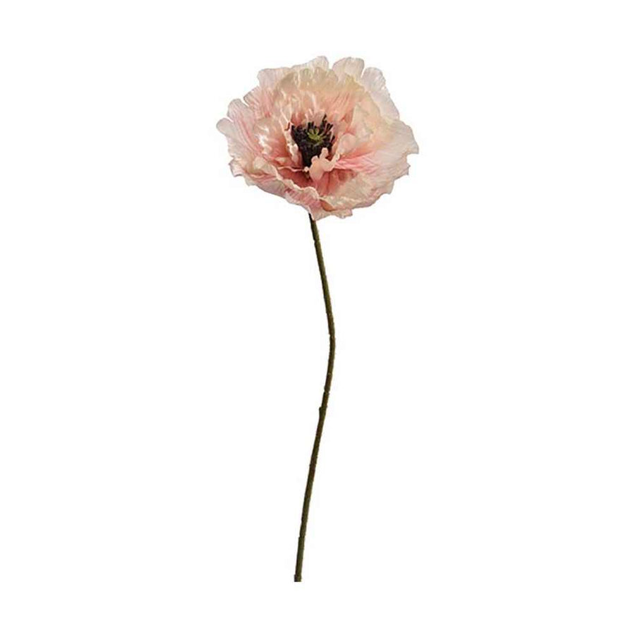 Hosszú szárú, barack színű mű pipacs virág.