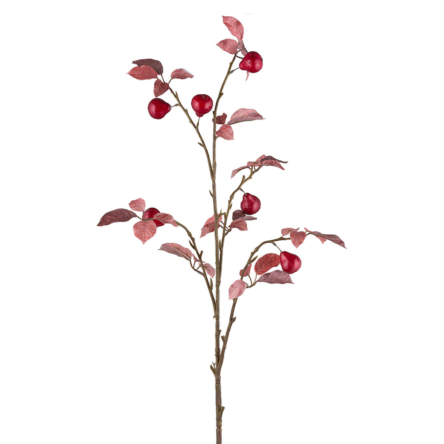 Óriás, rubinszínű mű vadkörte ág 120 cm magas, vörös levelekkel és apró körtékkel.