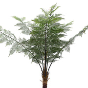 Mű serlegpáfrány részlet, élethűen kidolgozott, finom erezetű és szeldelt levelekkel.