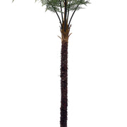 Realista kidolgozású, hosszú fás törzsű mű serlegpáfrány, természetes hatású textúrával.