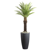 Dekoratív mű dicksonia páfrányfa szürke magas kaspóban, fehér dekorációs kövekkel