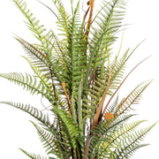 Zöld páfrány és díszfű levelek részletgazdag, élethű megjelenéssel.