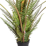 Mű páfrány mix fekete kaspóban, sűrű levélzettel és realisztikus talajréteggel