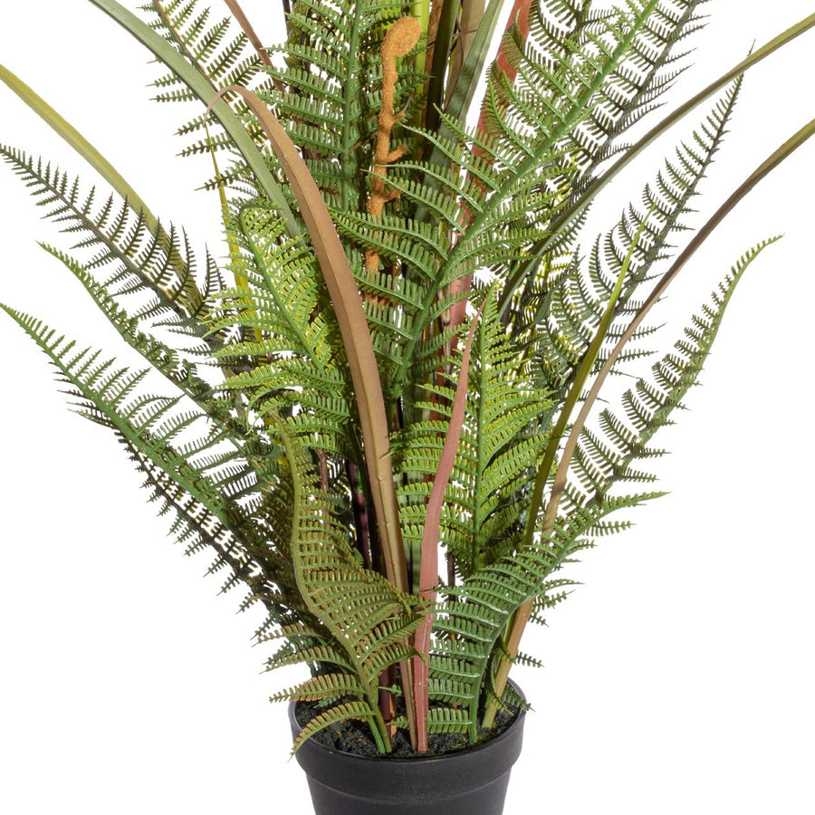 Mű páfrány mix fekete kaspóban, sűrű levélzettel és realisztikus talajréteggel