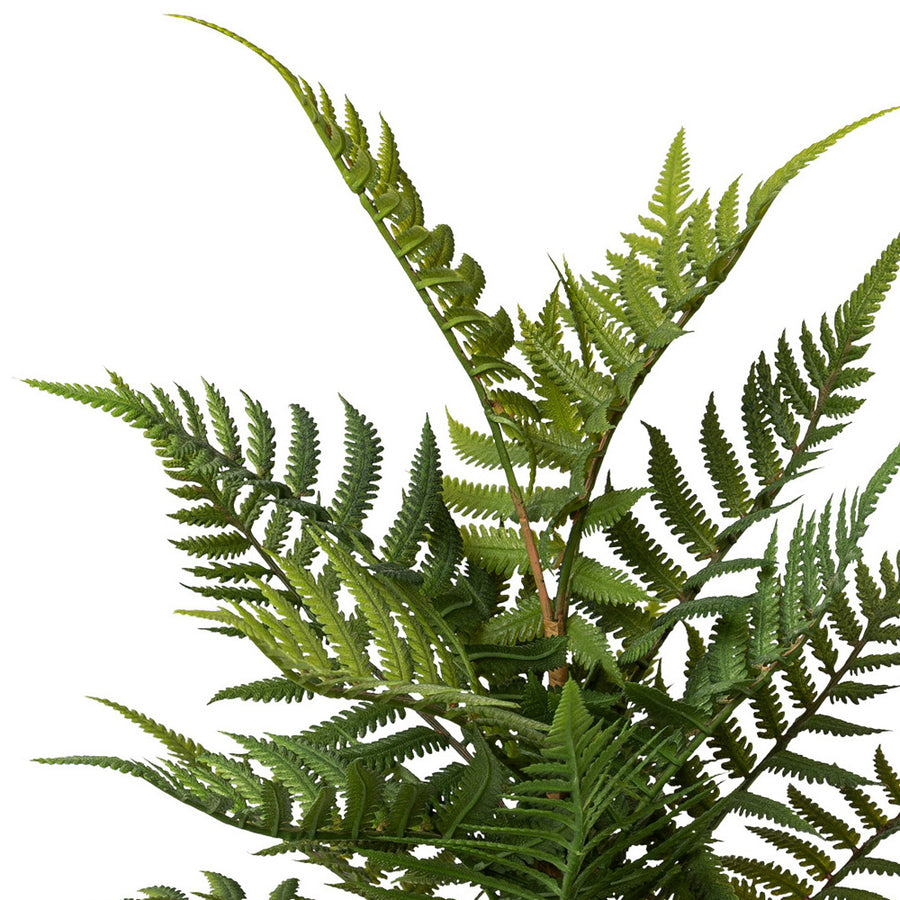 POLYPODIOPSIDA zöld mű páfrány mohalabdában 38 cm