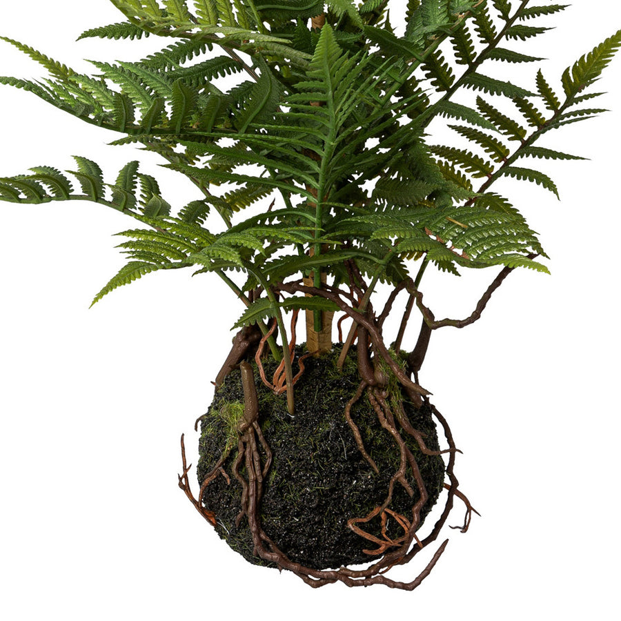 POLYPODIOPSIDA zöld mű páfrány mohalabdában 38 cm