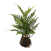 POLYPODIOPSIDA zöld mű páfrány mohalabdában 38 cm