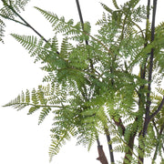 Finom, szabdalt mű páfrány levelek közelről, realista részletekkel.