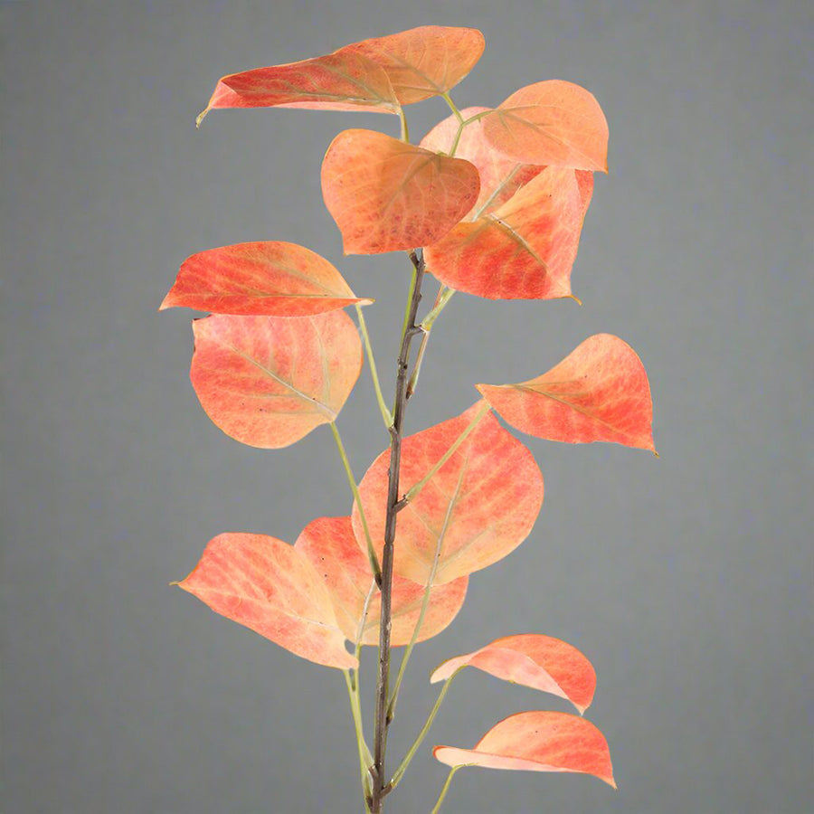 Narancssárga színű, mű nyárfa ág.