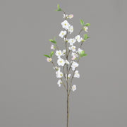 Virágzó, mű cseresznyefa ág, krémszínű nyílt és virágokkal.