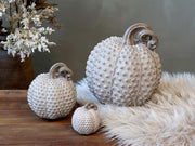 Antik tejeskávészínű, dísztök dekoráció.