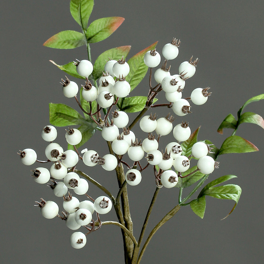 Élethű fehér Pyracantha ág részletgazdag bogyókkal