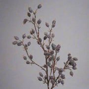 Lila mű csipkebogyó ág részlete, sűrű bogyókkal és elágazó szárakkal.