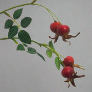 Narancsbordó csipkebogyó műág részletgazdag levelekkel és realisztikus bogyókkal, 47 cm