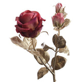 Bordó mű rózsa pezsgőszínű fényes levelekkel és bimbós virágfejekkel a Rose kollekcióból