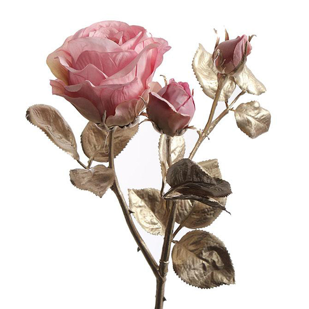 Pink mű rózsa pezsgőszínű fényes levelekkel és bimbós virágfejekkel a Rose kollekcióból