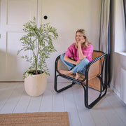 120 cm magas mű ruszkusz cserje világos, modern nappaliban, szék mellett elhelyezve.