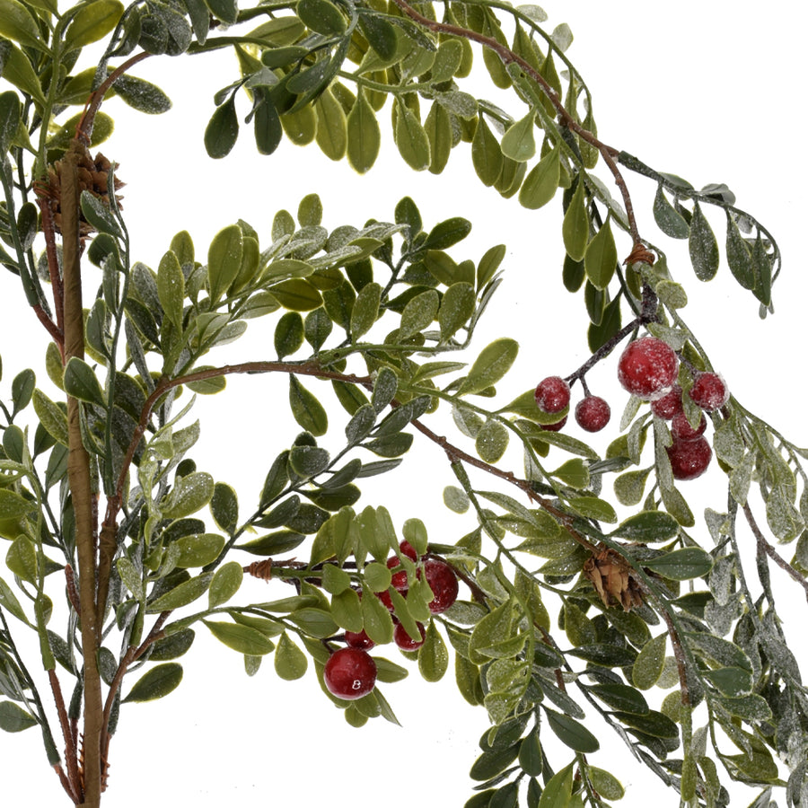 Zöld, deres hatású levelek és piros bogyók részlet a Sorbus jeges mű berkenye ágon.