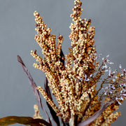 Sorghum magvas mű ág természetes hatású magrészlet közelről