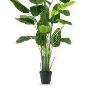 A STRELITZIA DELUXE műnövény alsó levelei, karcsú zöld szárai és fekete alapcserepe.