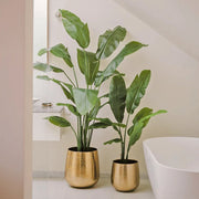 Modern nappali arany kaspóban elhelyezett Strelitzia Nicolai műnövénnyel