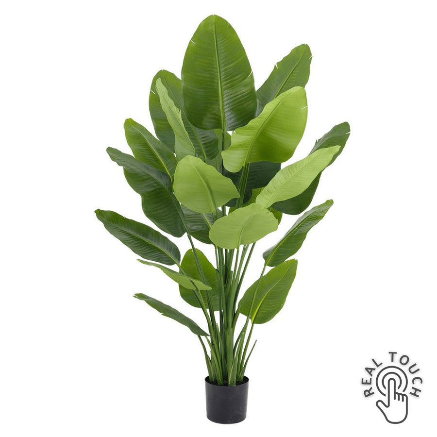 STRELITZIA zöld mű strelitzia 180 cm – élethű, Real Touch hatású műnövény fekete cserépben.