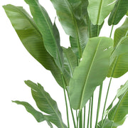 Elegáns, élethű strelitzia Nicolai műnövény nagy, banánlevél-szerű levelekkel