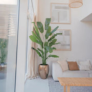 Real Touch Strelitzia Nicolai mű strelitzia nappali sarokban, dekoratív kaspóban.