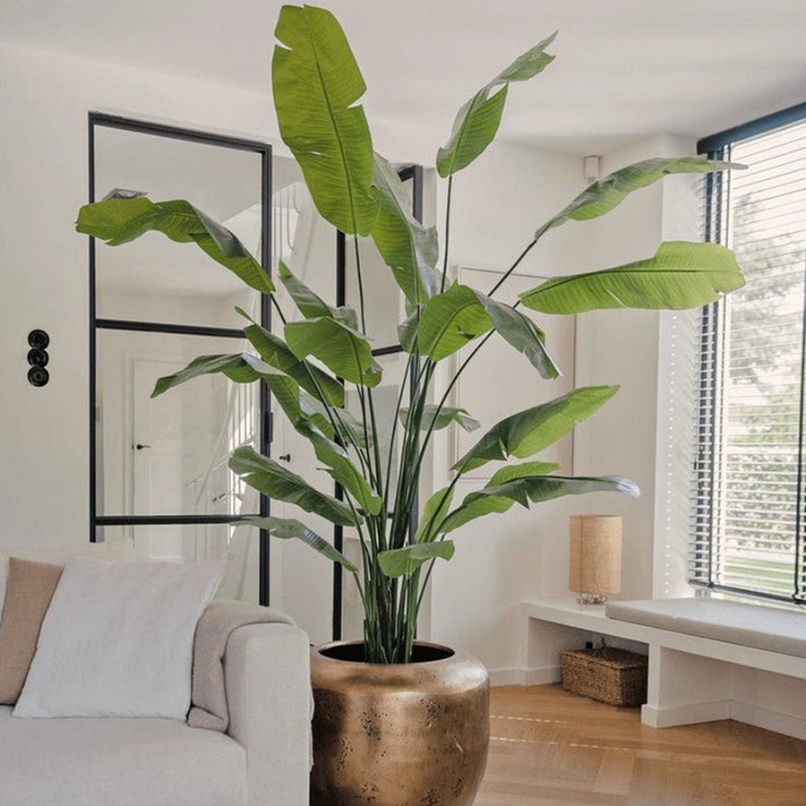 Élethű Strelitzia Nicolai műnövény modern nappaliban, arany kaspóban elhelyezve.