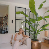 Élethű Strelitzia Nicolai műnövény modern nappaliban, arany kaspóban elhelyezve.