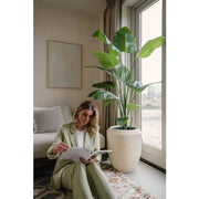 Real Touch technológiás zöld strelitzia műnövény, fekete cserépben, nappali enteriőrben.