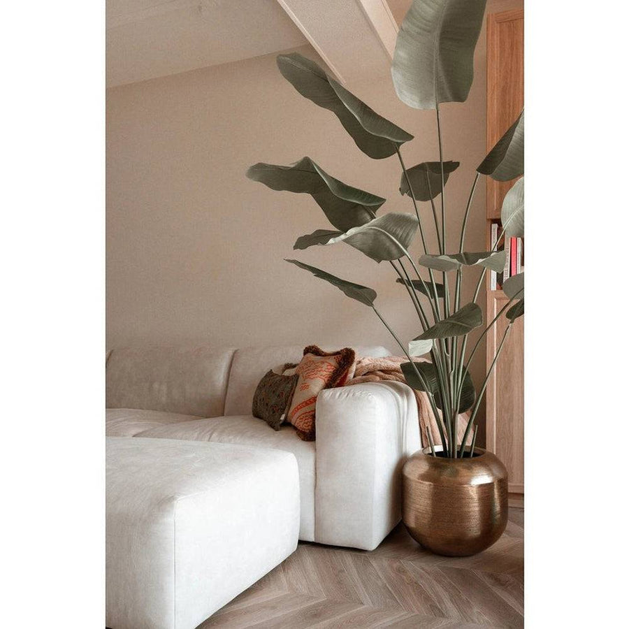 Real Touch strelitzia műnövény modern nappaliban, fehér kanapé mellett elhelyezve.