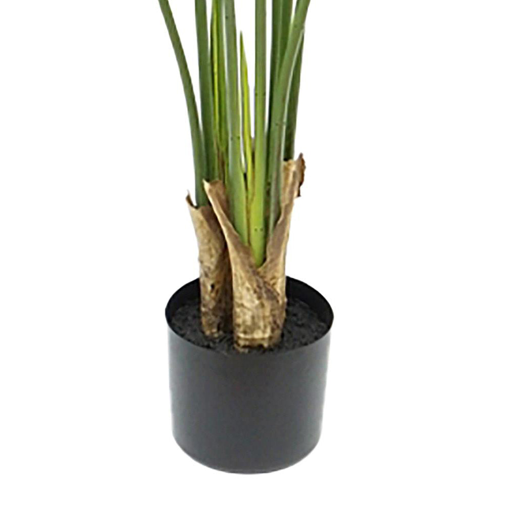 Strelitzia mű növény alsó törzsrész és kaspó közelről.