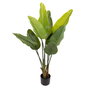 110 cm magas strelitzia mű növény több zöld levéllel.