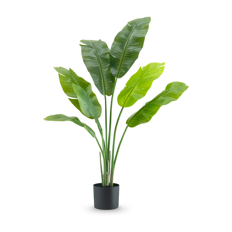 Élethű zöld mű strelitzia 120 cm fekete kaspóban