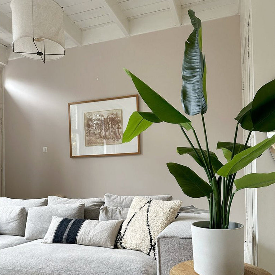 Élethű, Real Touch strelitzia műnövény modern nappali enteriőrben