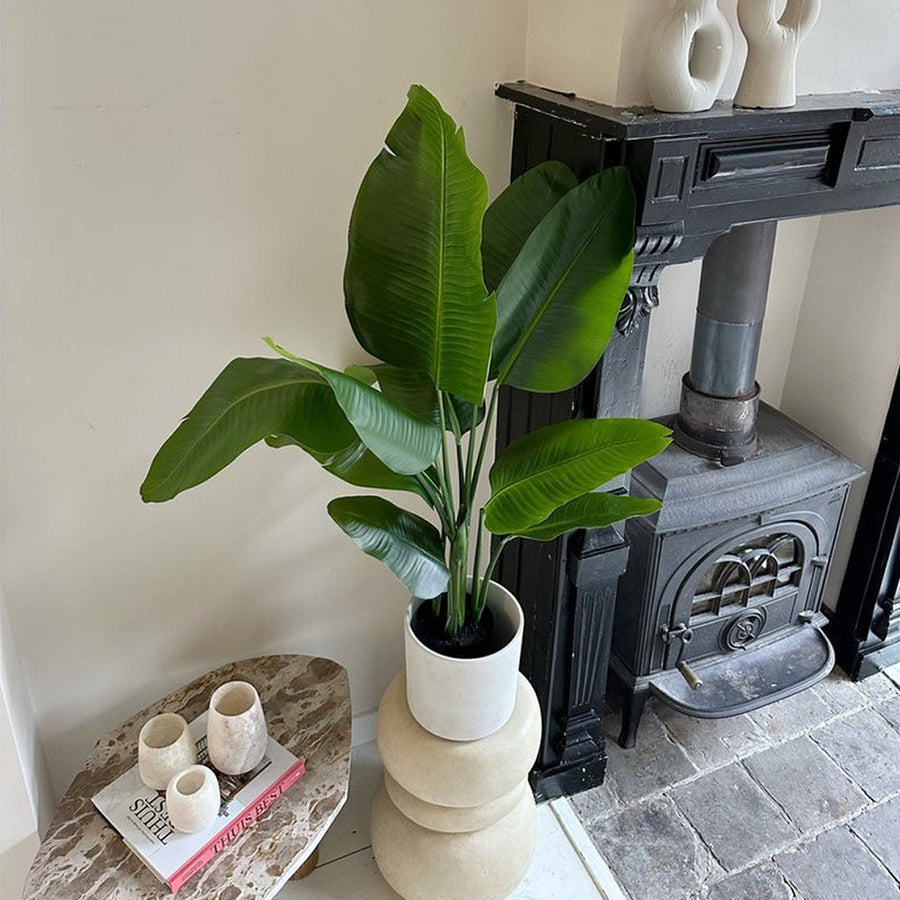 120 cm magas mű strelitzia növény elegáns kaspóban, kanapé mellett elhelyezve