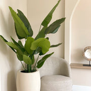nagyméretű mű strelitzia növény modern nappali enteriőrben