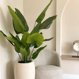 nagyméretű mű strelitzia növény modern nappali enteriőrben