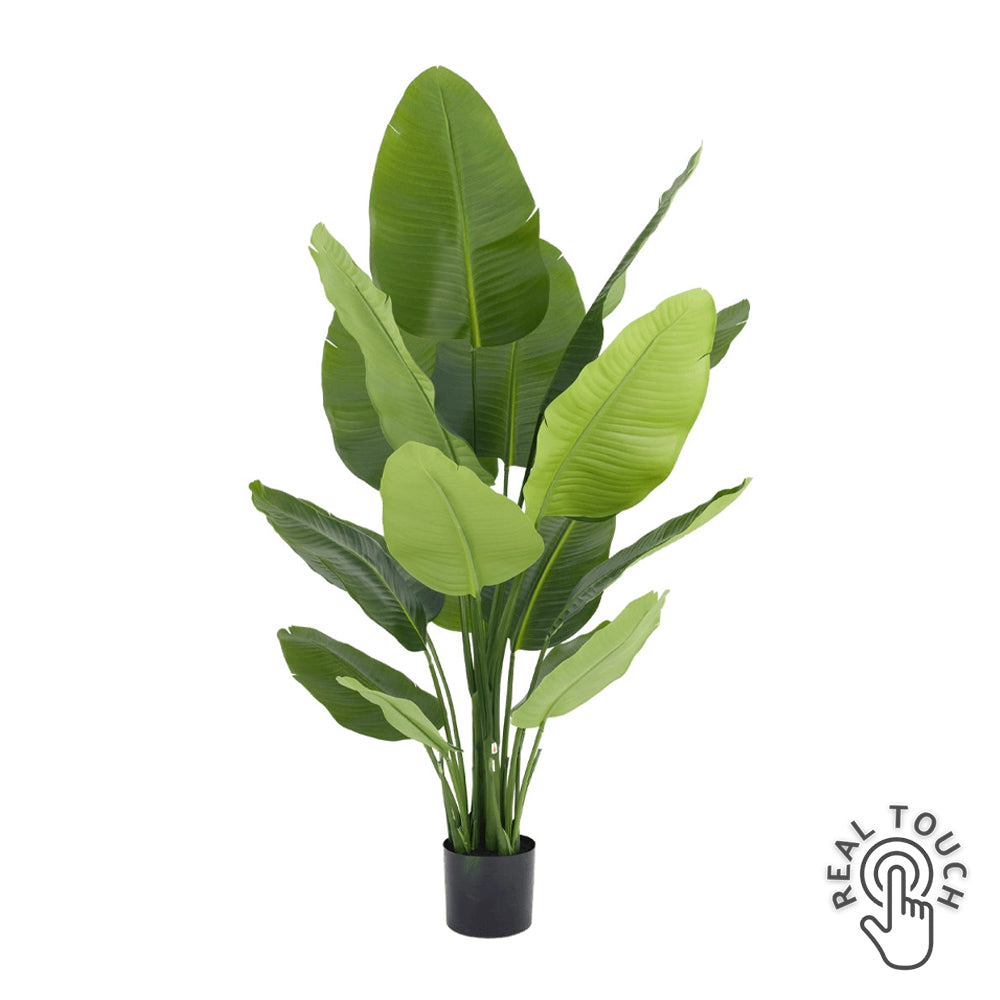 zöld mű strelitzia 150 cm magas real touch levelekkel kaspóban