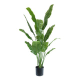 zöld mű strelitzia 165 cm magas fekete kaspóban